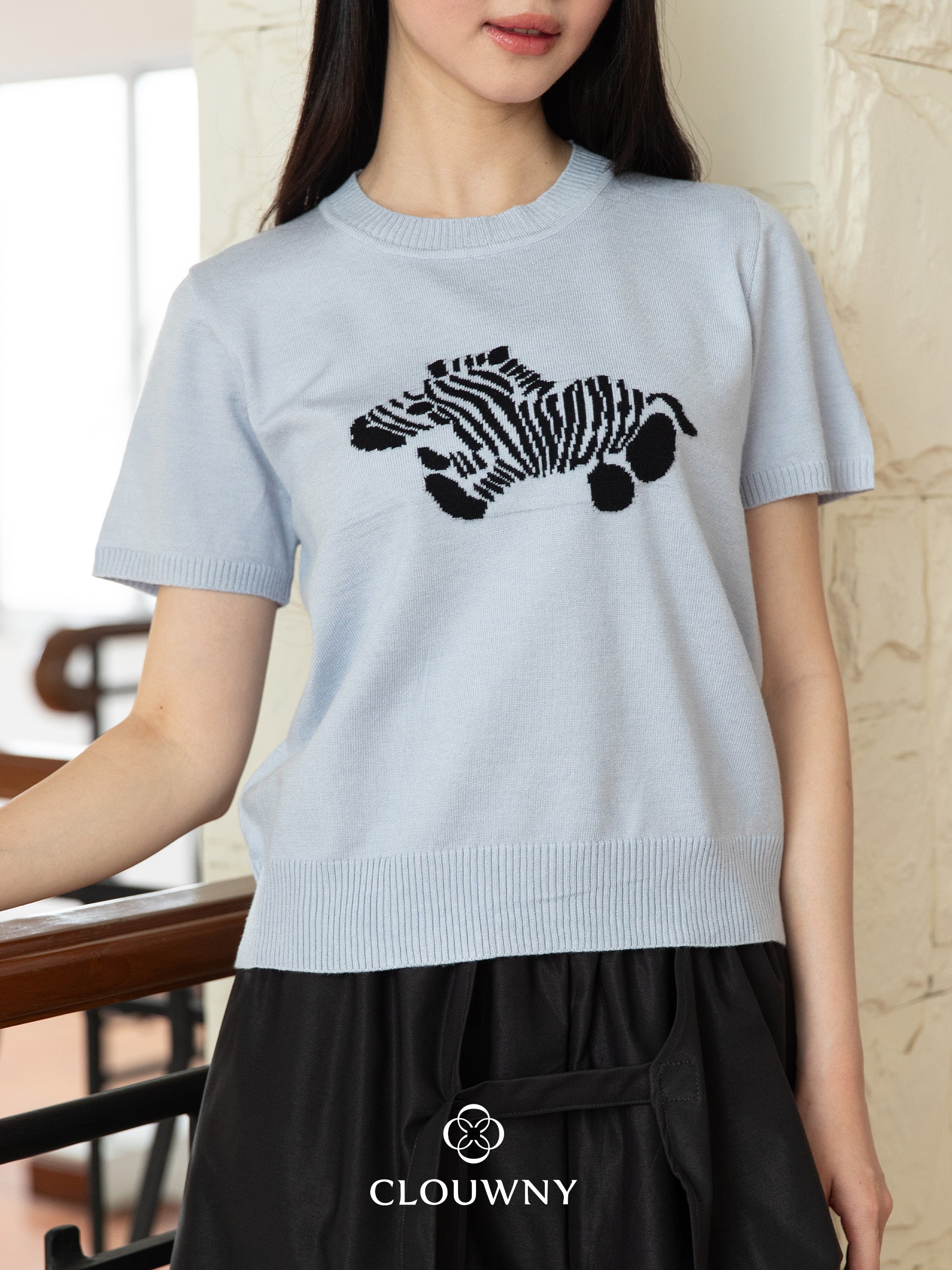 Zebra Knit Top - Blue